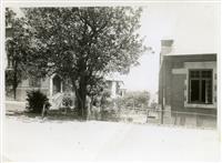 Dining hall and fig tree c1940