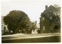 Fig tree, dining hall and School House c1940