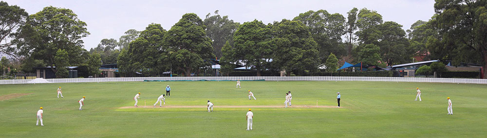 Cricket at Northbridge sml