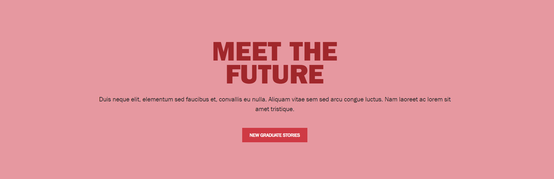 Hero Light Pink Panel - Full Width Content