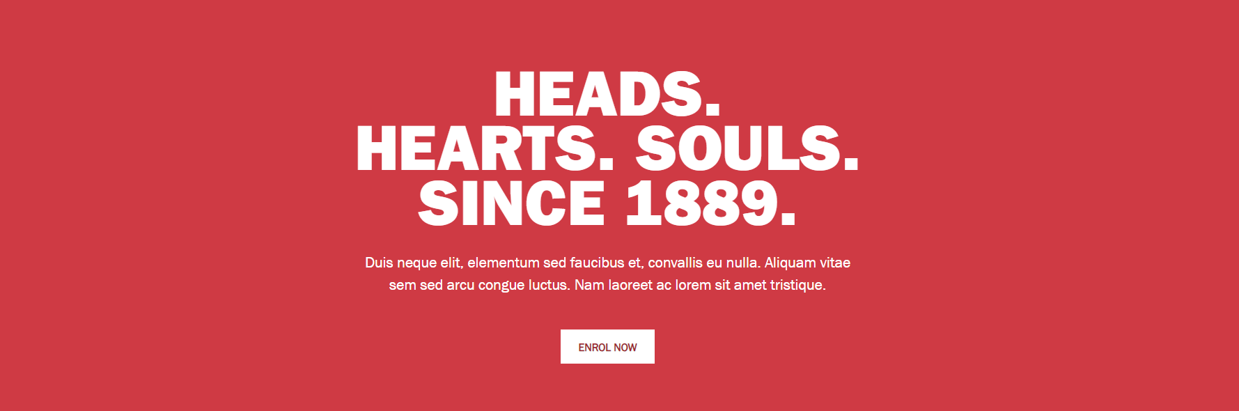 Hero Red Panel - Full Width Content